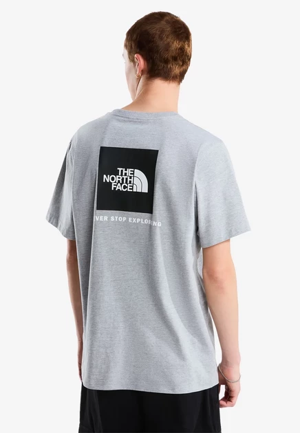 Мужская футболка The North Face Evolution Box, серая
