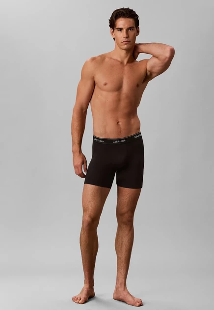 Calvin Klein 3 PACK - Boxer briefs - black w  silver haze wb silver black goji berry black