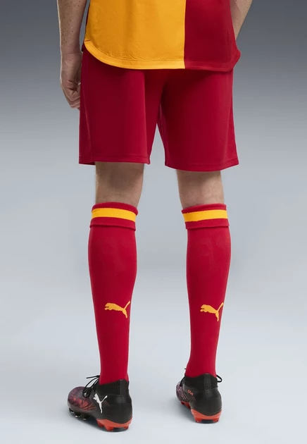 Мужские шорты Puma Galatasaray S.K. 26/27, вишневые