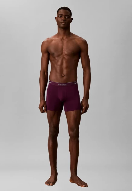 Мужские боксеры Calvin Klein 3 шт., черные/серые/фиолетовые