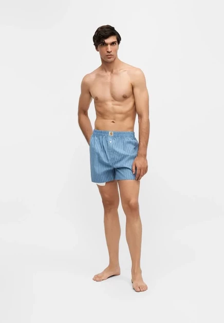 Мужские боксеры Carhartt WIP, полосатые