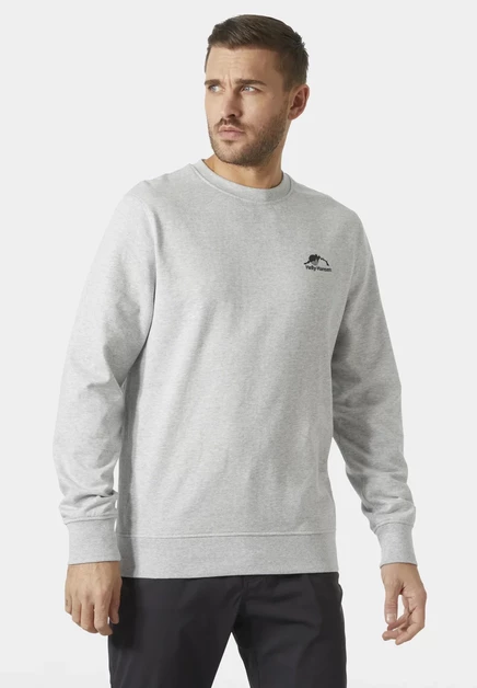 Мужской свитшот Helly Hansen Nord Graphic Crew, серый