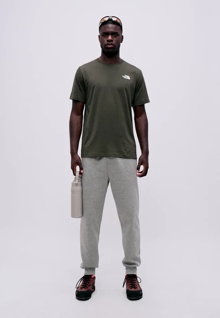 Мужская футболка The North Face Box, серо-зеленая
