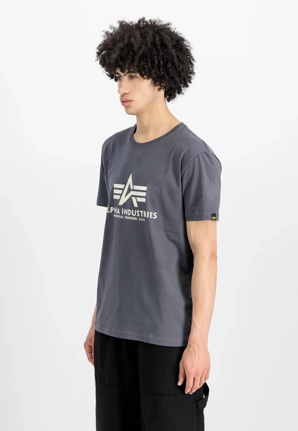 Мужская футболка Alpha Industries Print, серая