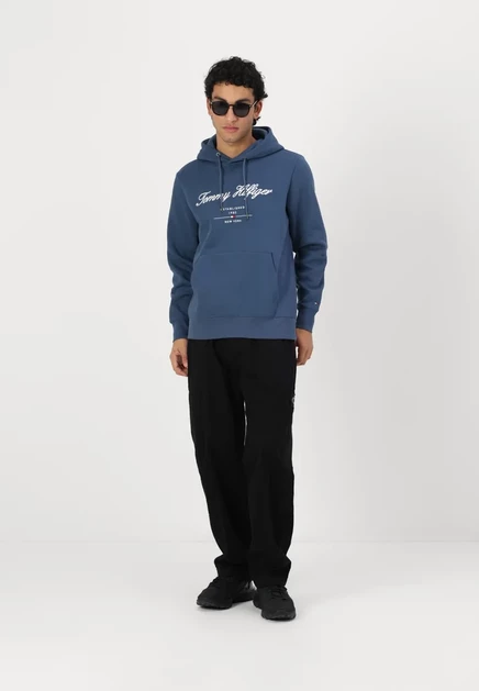 Мужское худи Tommy Hilfiger Script Logo, голубое
