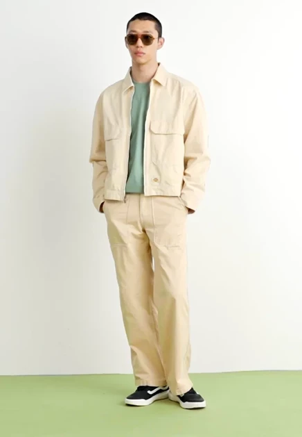 Мужские брюки Dickies Forth Smith, серые