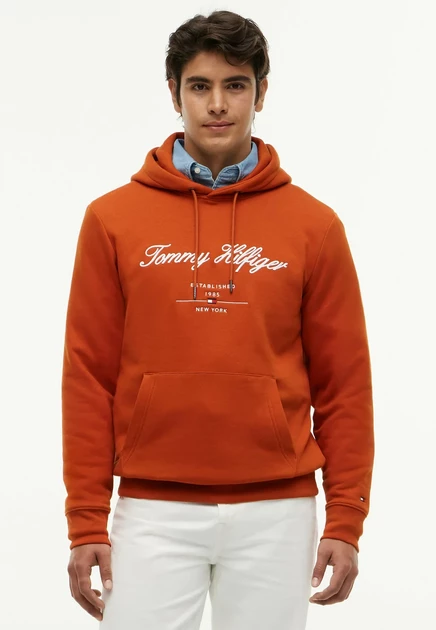 Мужское худи Tommy Hilfiger Script Logo, охристое