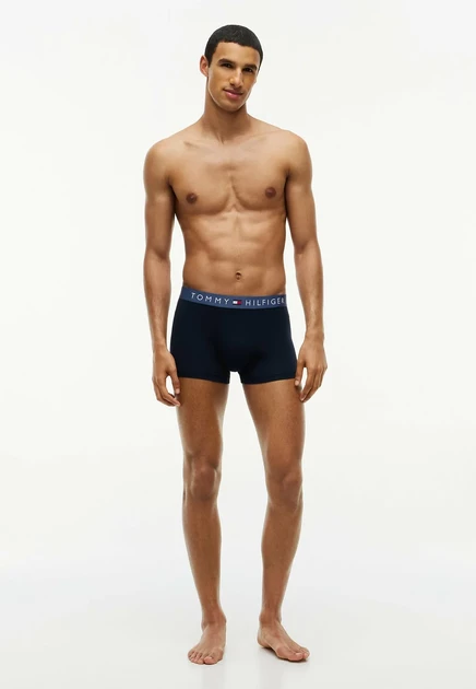 Мужские боксеры Tommy Hilfiger, 3 шт., разноцветные