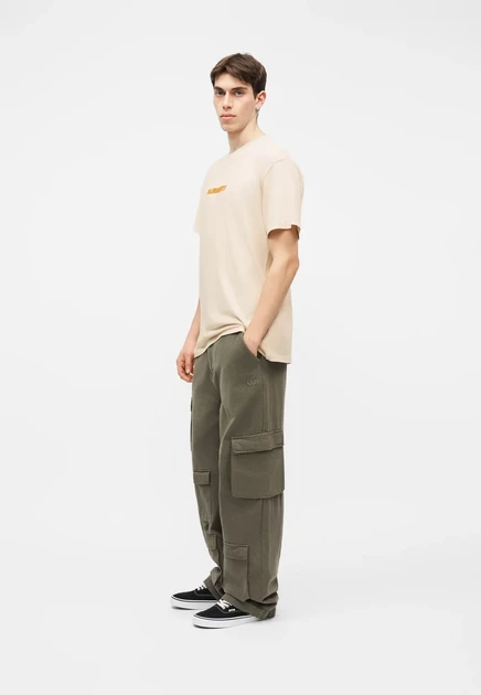 Element GO OUTSIDE UNISEX - Print T-shirt - oat milk oat milk