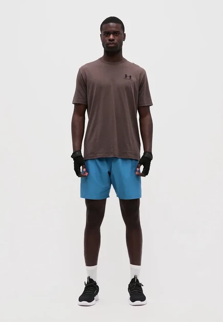 Мужские шорты Under Armour Wordmark, синие/чёрные