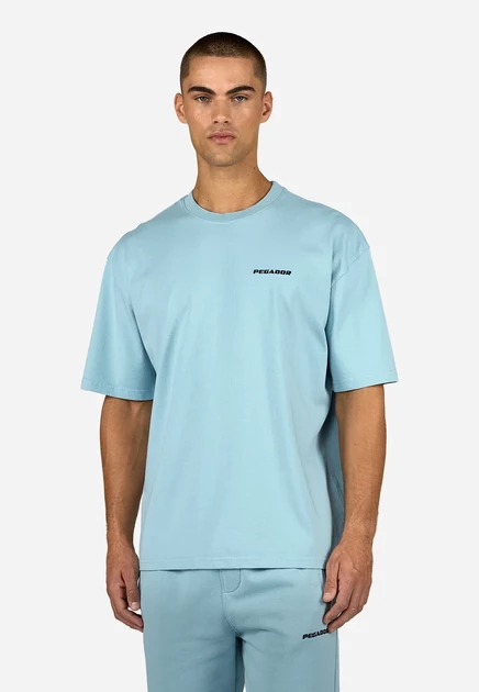 Pegador LOGO OVERSIZED TEE - Basic T-shirt - grey/white washed frost blue black