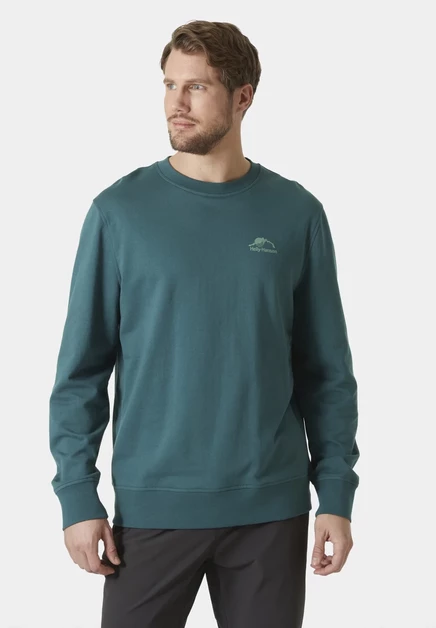 Мужской свитшот Helly Hansen NORD GRAPHIC, серый