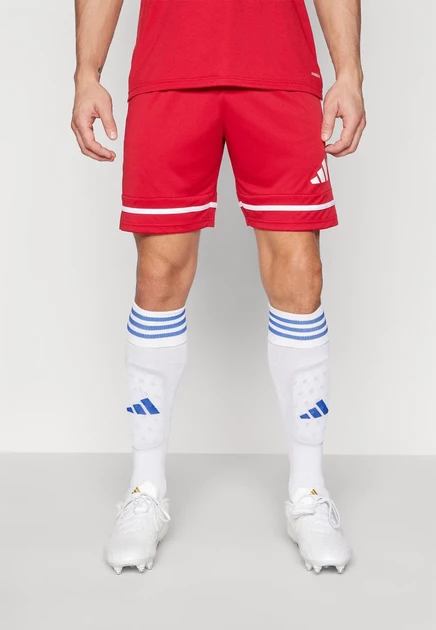 Мужские шорты adidas SQUADRA25, красные/белые