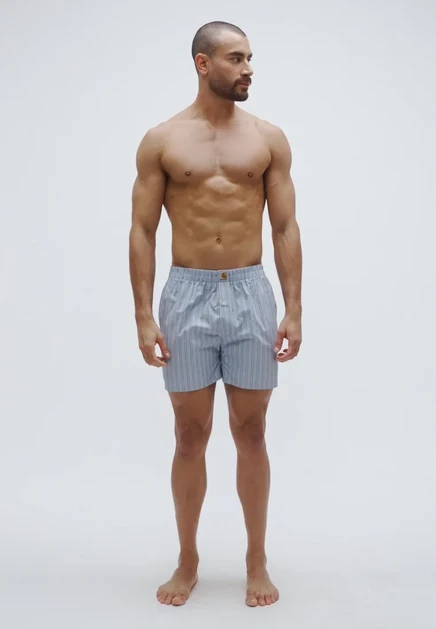 Мужские боксеры Carhartt WIP в полоску, голубые
