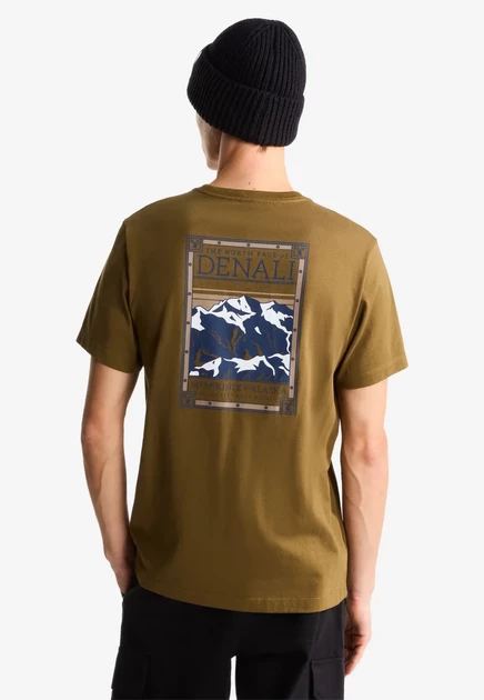 Мужская футболка The North Face с принтом, серо-зеленая