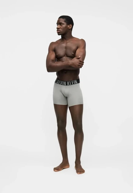 Мужские боксеры Calvin Klein, 3 шт., разноцветные