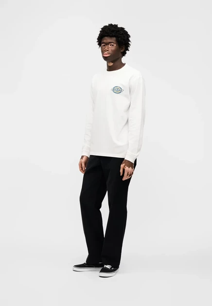 Мужской лонгслив Dickies Nashport, черно-белый