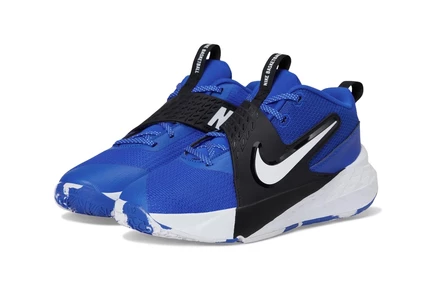 Кроссовки для детей Nike Team Hustle D 12, синий/белый/черный