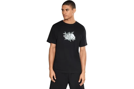 Футболка The North Face Meadow Mist Regular Short Sleeve Tee