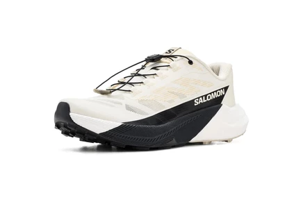 Мужские кроссовки Salomon Pulsar