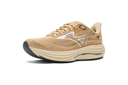 Мужские кроссовки Mizuno Wave Rider 29