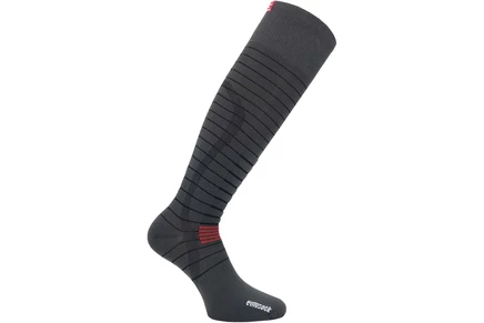 Носки Eurosock Silver Ski Light 2-Pack