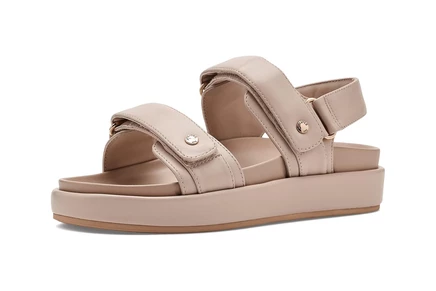 JSlides Bay bone