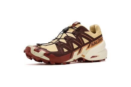 Мужские кроссовки Salomon Speedcross 6