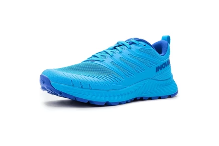 Мужские кроссовки INOV8 Trailfly V2