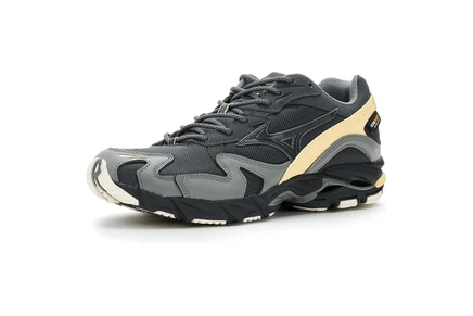 Унисекс кроссовки Mizuno Wave Rider 10 Cordura, черно-песочные