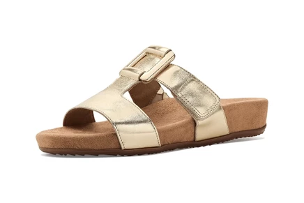 SoftWalk Bexley champagne