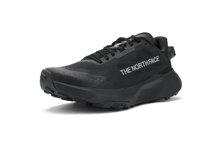 Мужские кроссовки The North Face Altamesa 300 V2