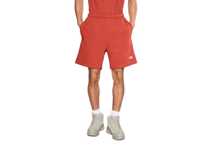 Шорты The North Face Evolution Emb Shorts