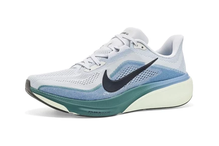 Шиповки Nike Air Zoom Pegasus 42