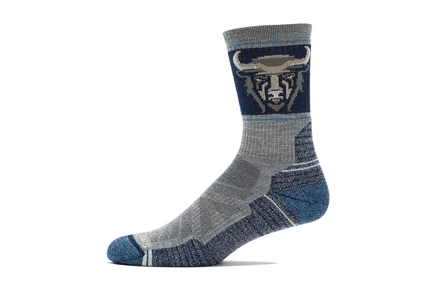 Носки Smartwool Hike Light Cushion Bison Crew Socks