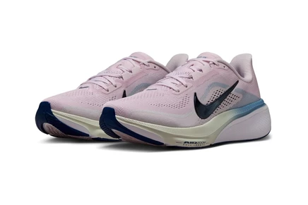 Кроссовки Nike Air Zoom Pegasus 42