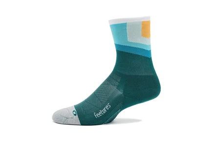 Носки Feetures Elite Light Cushion Mini Crew