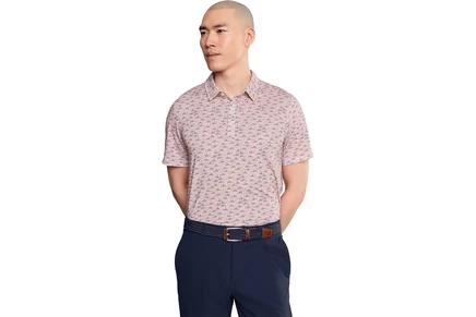 Поло L.L.Bean Comfort Stretch Performance Party Polo Short Sleeve Print