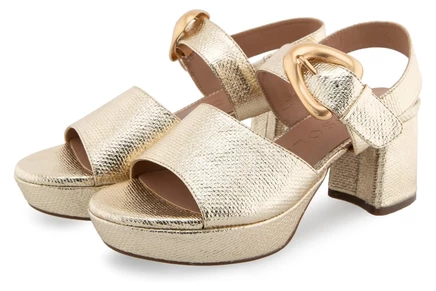 soft gold canvas