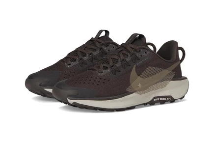 Детские кроссовки Nike Pegasus Trail 5, коричнево-серые
