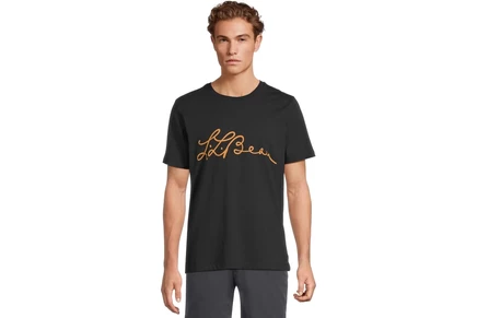 Футболка L.L.Bean Signature Premium Essential Graphic Tee, Short Sleeve
