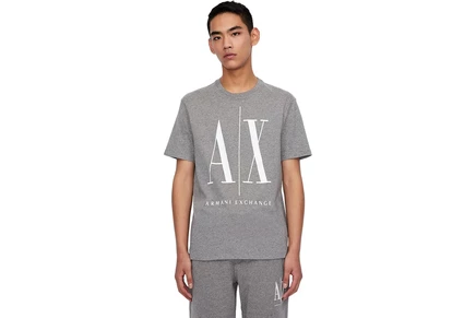 Мужская футболка Armani Exchange Icon Logo, серый меланж