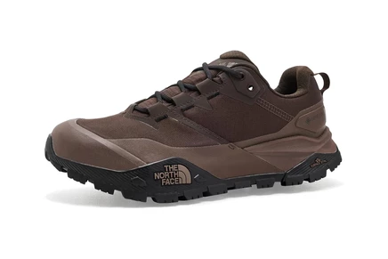 Мужские ботинки North Face Offtrail Hike GTX, коричневые
