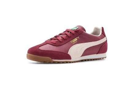 Мужские кроссовки PUMA Arizona Retro Shoes