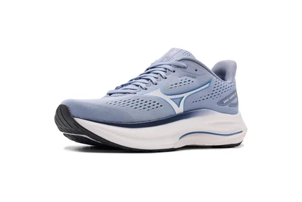 Мужские кроссовки Mizuno Wave Inspire 22