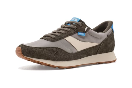 major brown/morning dove