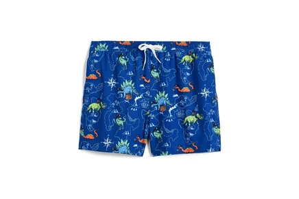 Плавки Chubbies Kids The Rex Marks The Spots (boys Lined Swim Trunk) (big Kid)