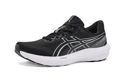 Кроссовки ASICS GT-1000 15