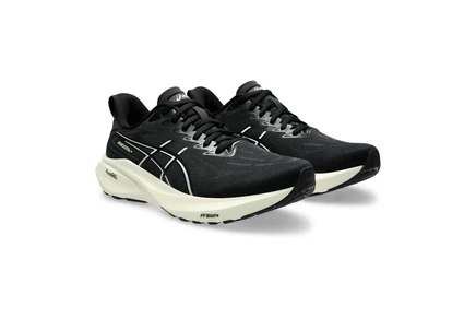 Мужские кроссовки Asics GT-2000 13, черно-белые