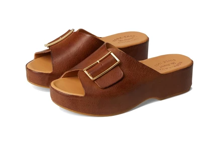 brown terra